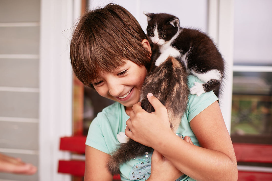 Les démarches pour adopter : tout ce que vous devez savoir