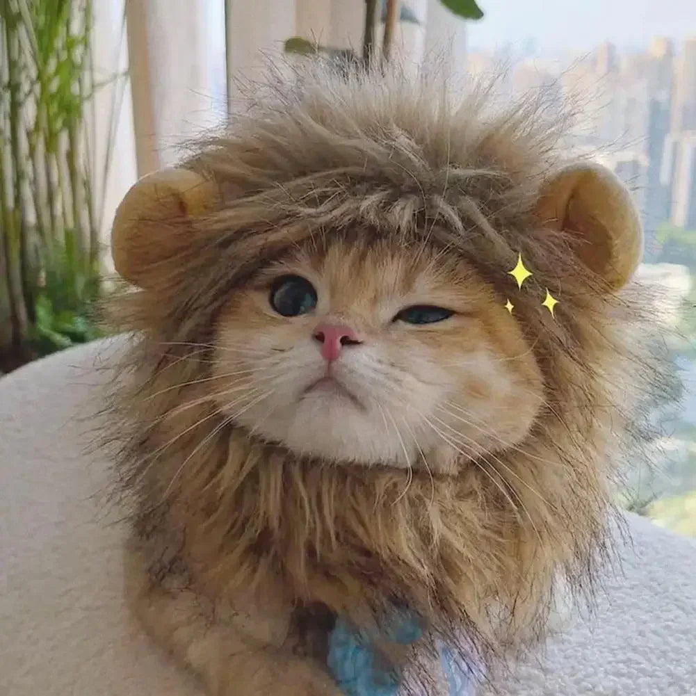 Crinière de lion pour chat