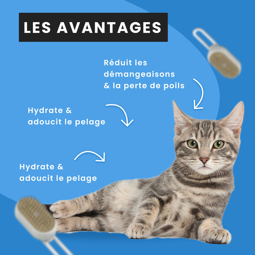 Brosse à vapeur pour chat