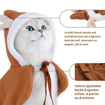 Costume de Noël pour chat