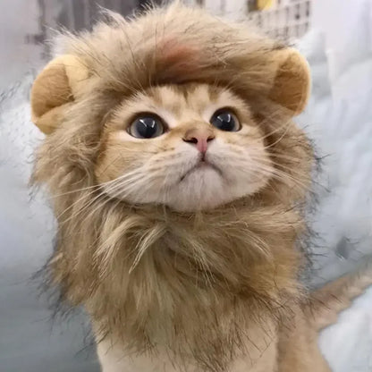 Crinière de lion pour chat