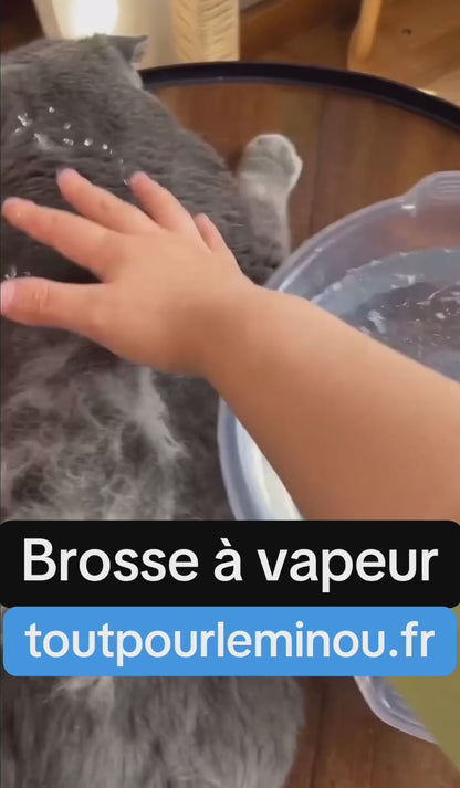 Brosse à vapeur pour chat